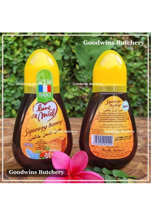 Honey madu Lune De Miel SQUEEZY HONEY France 250g